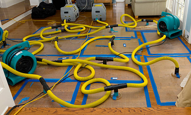 Professional Storm Water Damage Restoration technician working in Muldoon, TX